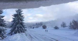 Location - Allo skis
