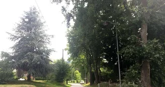 Allée des Chênes