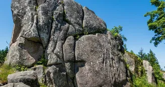 Le moutier des fées