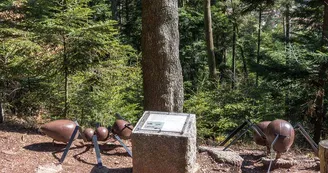 La Montagne des Fourmis Géantes