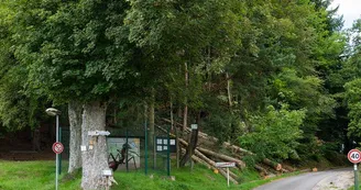 La Montagne des Fourmis Géantes