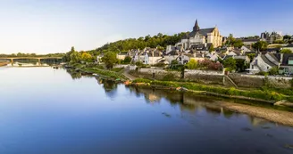 Candes Saint-Martin