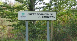 FORET CHOEURS BOMMIERS 2 FORET CHOEURS BOMMIERS 2
