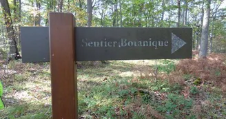 FORET CHOEURS BOMMIERS 3 FORET CHOEURS BOMMIERS 3