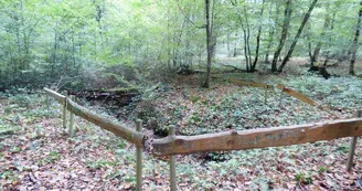 FORET CHOEURS BOMMIERS 4 FORET CHOEURS BOMMIERS 4