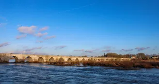 Beaugency 2024 ©S. Bercier (80)