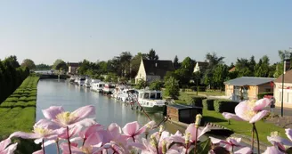 Canal Belleville Fleurs