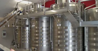 Domaine-Michel-Thomas-et-Fils3