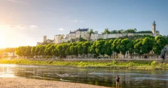 3_velos-sur-les-bords-de-vienne-sur-la-plage-de-chinon