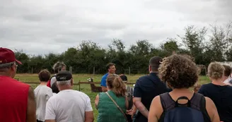 Cirque Paradiso Le Parc