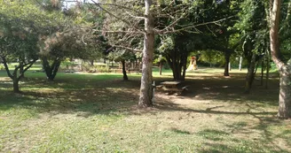 aire_jeu