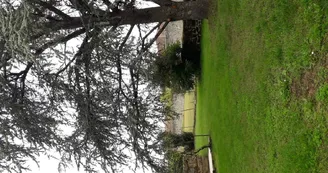 Gîte d'étape Le Cèdre Bleu
