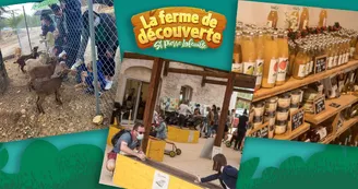 campagne-facebook-ferme-st-pierre-lafeuiile-04