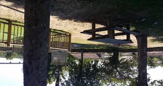 pique_nique