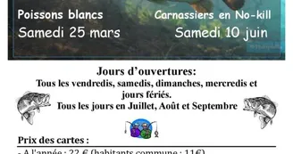 Pêche Ste Foy Pêche Ste Foy