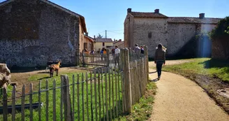 chemin pintureau chemin pintureau