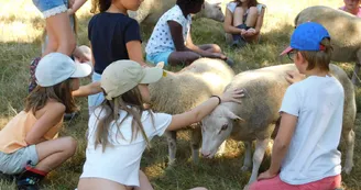 Animation ferme Animation ferme