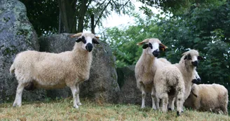 Thônes et marthod Thônes et marthod