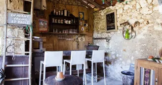 Logis-St-Martin-MONTAGNAC-LA-CREMPSE