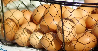 Oeufs