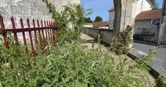 Périgord Inattendu - Village Fleuri Villetoureix