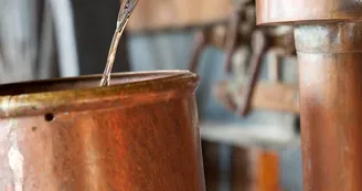 Ecomusée de l'Armagnac_2