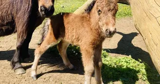 touron bébés 7