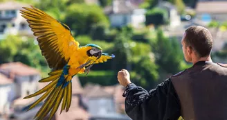 Géants du Ciel_5