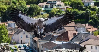 Géants du Ciel_8