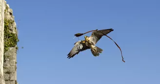 Géants du Ciel_11