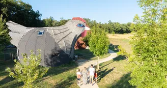 maison poule