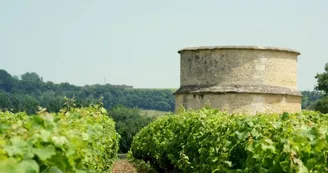 Destination Garonne, Pigeonnier du Château de Rolland, Barsac
