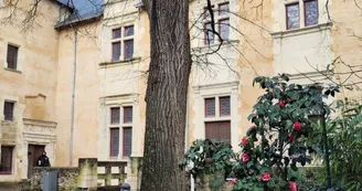 hôtel berthelot poitiers (1) hôtel berthelot poitiers (1)