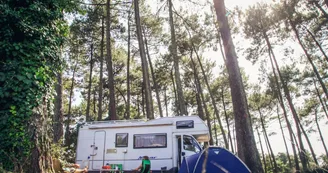 Camping-la-civelle-landes-atlantique-sud--4- Camping-la-civelle-landes-atlantique-sud--4-