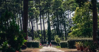 Camping-la-civelle-landes-atlantique-sud-cap--5- Camping-la-civelle-landes-atlantique-sud-cap--5-