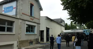 Laiterie