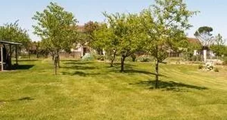 Le parc arboré Le parc arboré