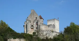 Château Grignols2 Château Grignols2