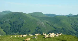 chalets-iraty-vue