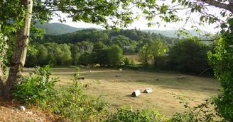 Village d+ Chamberet-Corrèze