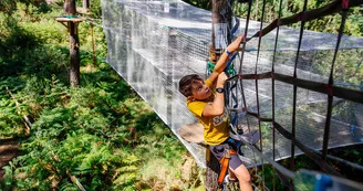 Parcours d'accrobranche