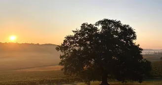 Domaine du Crampilh - Aurions-Idernes - cph Crampilh