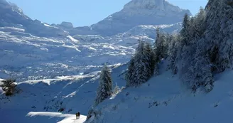 Issarbe