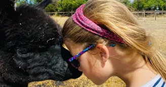 La Petite Ferme d'Alpagas Sanzay