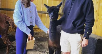 La Petite Ferme d'Alpagas Sanzay