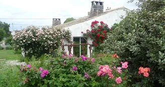 Le jardin Le jardin