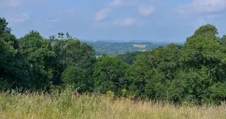 Geocaching-Miramont-5-TiS