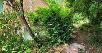 gite-batcock-douzillac-jardin gite-batcock-douzillac-jardin