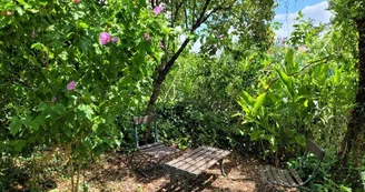 gite-batcock-douzillac-jardin gite-batcock-douzillac-jardin