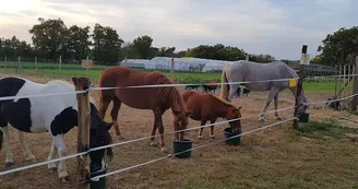 Ferme découverte au Domaine d'Écoline Ferme découverte au Domaine d'Écoline